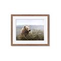 Picture of Waking Up _GroupedProduct_Rectangle_Landscape_Framed_Matted_