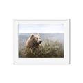 Picture of Waking Up _GroupedProduct_Rectangle_Landscape_Framed_Matted_
