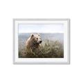 Picture of Waking Up _GroupedProduct_Rectangle_Landscape_Framed_Matted_