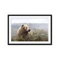 Picture of Waking Up _GroupedProduct_Rectangle_Landscape_Framed_Matted_