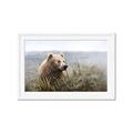 Picture of Waking Up _GroupedProduct_Rectangle_Landscape_Framed_Matted_