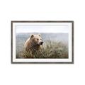 Picture of Waking Up _GroupedProduct_Rectangle_Landscape_Framed_Matted_