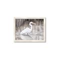 Picture of Wading Egret _GroupedProduct_Rectangle_Landscape_Framed_Matted_