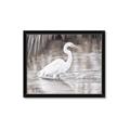 Picture of Wading Egret _GroupedProduct_Rectangle_Landscape_Framed_Matted_