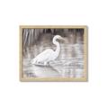 Picture of Wading Egret _GroupedProduct_Rectangle_Landscape_Framed_Matted_