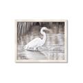 Picture of Wading Egret _GroupedProduct_Rectangle_Landscape_Framed_Matted_