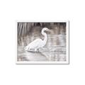 Picture of Wading Egret _GroupedProduct_Rectangle_Landscape_Framed_Matted_