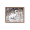 Picture of Wading Egret _GroupedProduct_Rectangle_Landscape_Framed_Matted_