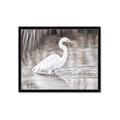 Picture of Wading Egret _GroupedProduct_Rectangle_Landscape_Framed_Matted_