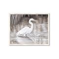 Picture of Wading Egret _GroupedProduct_Rectangle_Landscape_Framed_Matted_