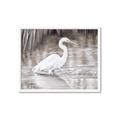 Picture of Wading Egret _GroupedProduct_Rectangle_Landscape_Framed_Matted_