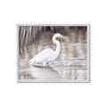 Picture of Wading Egret _GroupedProduct_Rectangle_Landscape_Framed_Matted_