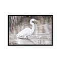 Picture of Wading Egret _GroupedProduct_Rectangle_Landscape_Framed_Matted_