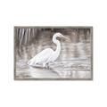 Picture of Wading Egret _GroupedProduct_Rectangle_Landscape_Framed_Matted_