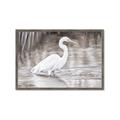 Picture of Wading Egret _GroupedProduct_Rectangle_Landscape_Framed_Matted_