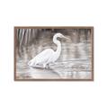 Picture of Wading Egret _GroupedProduct_Rectangle_Landscape_Framed_Matted_