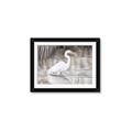 Picture of Wading Egret _GroupedProduct_Rectangle_Landscape_Framed_Matted_