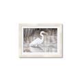 Picture of Wading Egret _GroupedProduct_Rectangle_Landscape_Framed_Matted_