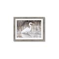Picture of Wading Egret _GroupedProduct_Rectangle_Landscape_Framed_Matted_