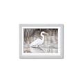 Picture of Wading Egret _GroupedProduct_Rectangle_Landscape_Framed_Matted_