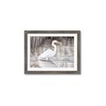 Picture of Wading Egret _GroupedProduct_Rectangle_Landscape_Framed_Matted_
