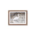 Picture of Wading Egret _GroupedProduct_Rectangle_Landscape_Framed_Matted_