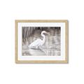 Picture of Wading Egret _GroupedProduct_Rectangle_Landscape_Framed_Matted_