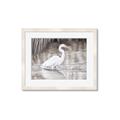 Picture of Wading Egret _GroupedProduct_Rectangle_Landscape_Framed_Matted_