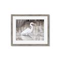 Picture of Wading Egret _GroupedProduct_Rectangle_Landscape_Framed_Matted_