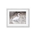 Picture of Wading Egret _GroupedProduct_Rectangle_Landscape_Framed_Matted_