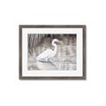 Picture of Wading Egret _GroupedProduct_Rectangle_Landscape_Framed_Matted_