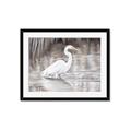 Picture of Wading Egret _GroupedProduct_Rectangle_Landscape_Framed_Matted_