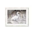 Picture of Wading Egret _GroupedProduct_Rectangle_Landscape_Framed_Matted_