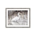 Picture of Wading Egret _GroupedProduct_Rectangle_Landscape_Framed_Matted_