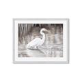 Picture of Wading Egret _GroupedProduct_Rectangle_Landscape_Framed_Matted_