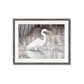 Picture of Wading Egret _GroupedProduct_Rectangle_Landscape_Framed_Matted_
