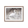 Picture of Wading Egret _GroupedProduct_Rectangle_Landscape_Framed_Matted_