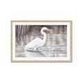 Picture of Wading Egret _GroupedProduct_Rectangle_Landscape_Framed_Matted_