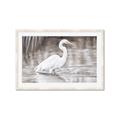 Picture of Wading Egret _GroupedProduct_Rectangle_Landscape_Framed_Matted_