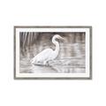 Picture of Wading Egret _GroupedProduct_Rectangle_Landscape_Framed_Matted_