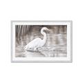 Picture of Wading Egret _GroupedProduct_Rectangle_Landscape_Framed_Matted_