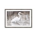 Picture of Wading Egret _GroupedProduct_Rectangle_Landscape_Framed_Matted_