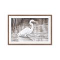 Picture of Wading Egret _GroupedProduct_Rectangle_Landscape_Framed_Matted_