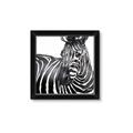 Picture of Zebra Watching _GroupedProduct_Square_Framed_Matted_