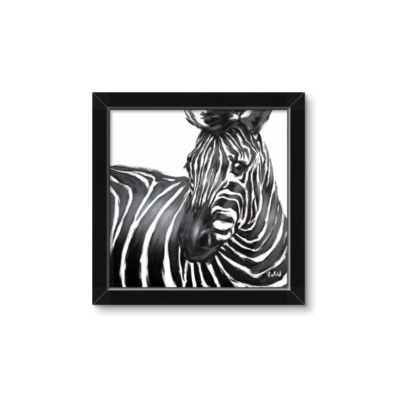 Picture of Zebra Watching _GroupedProduct_Square_Framed_Matted_