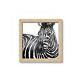 Picture of Zebra Watching _GroupedProduct_Square_Framed_Matted_