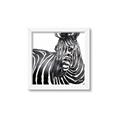 Picture of Zebra Watching _GroupedProduct_Square_Framed_Matted_