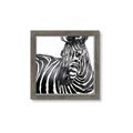 Picture of Zebra Watching _GroupedProduct_Square_Framed_Matted_