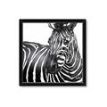Picture of Zebra Watching _GroupedProduct_Square_Framed_Matted_