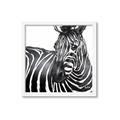 Picture of Zebra Watching _GroupedProduct_Square_Framed_Matted_